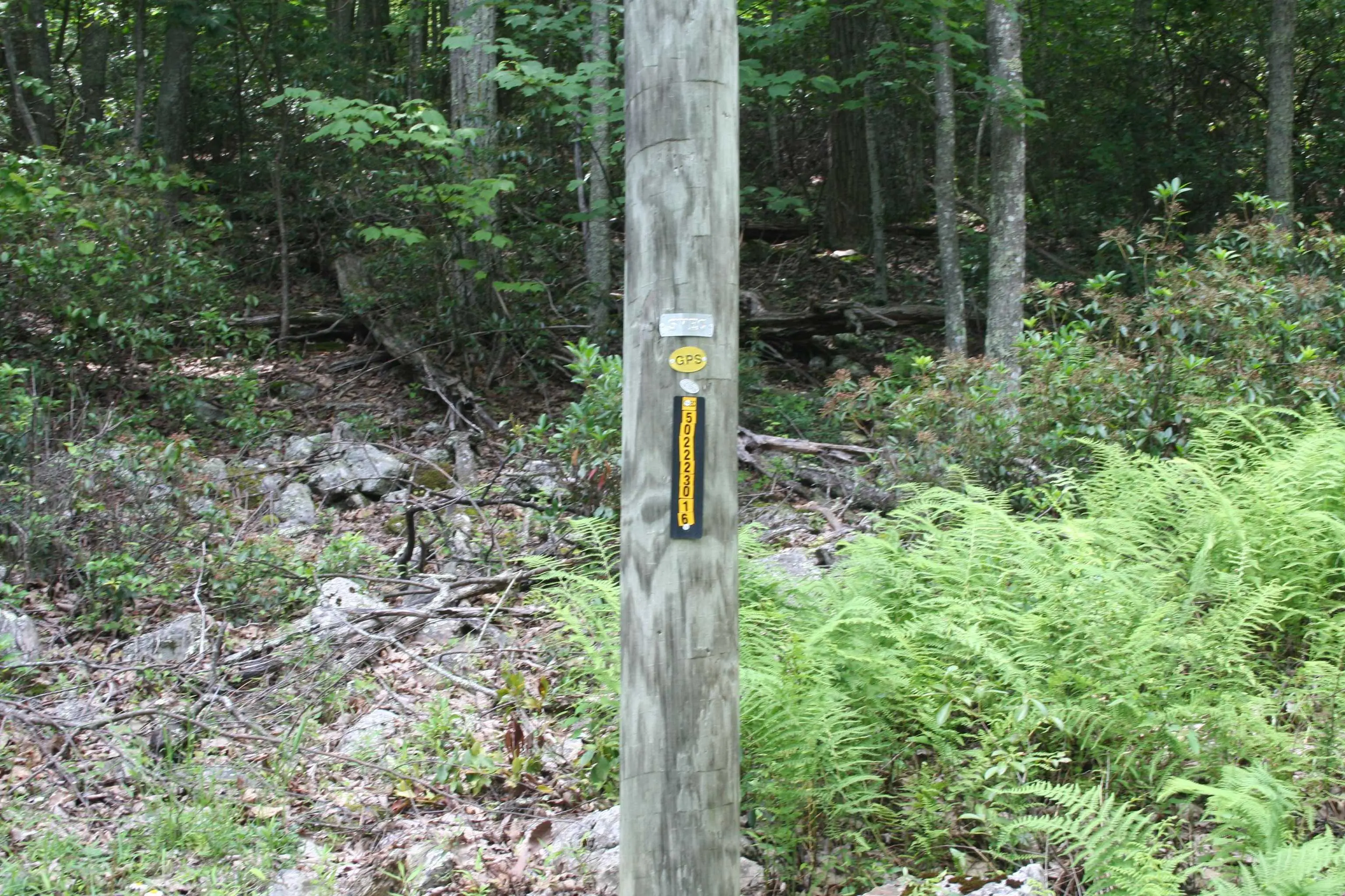 High Valley South, Monterey