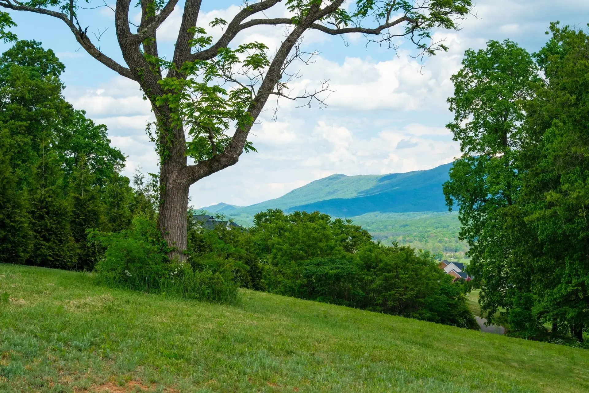 120 Keswick Ct, Rockingham