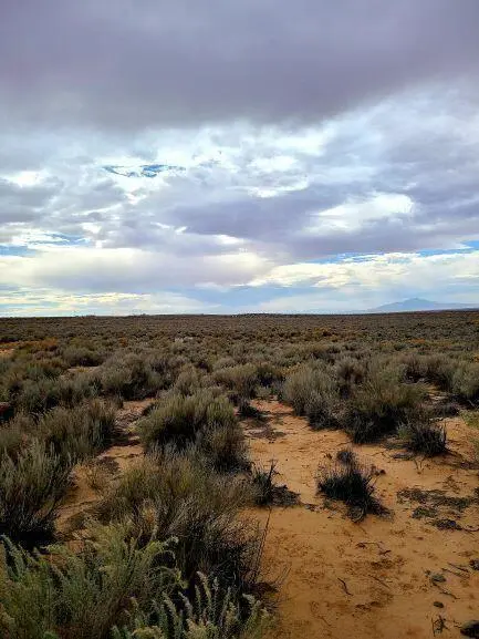 Duarte Lot 3, Los Lunas