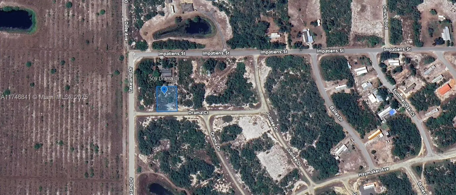 Photo of Listing #A11746841