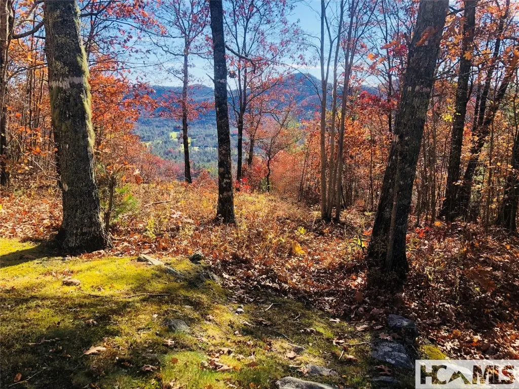 Lot 8 Windemere Drive, Sapphire