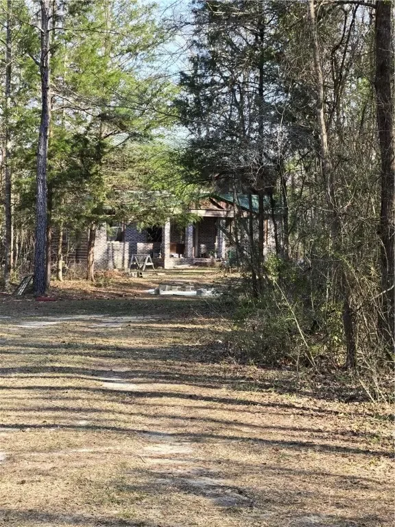 1312 Lee Rd 45, Opelika