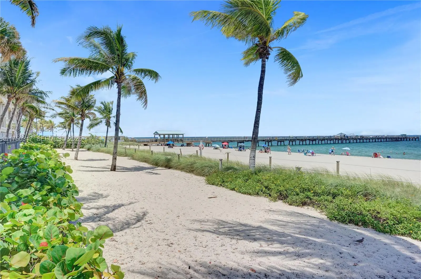 Photo of Listing #A11750317