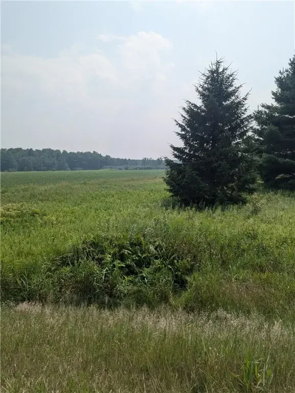Lot 4 County Highway W, Holcombe