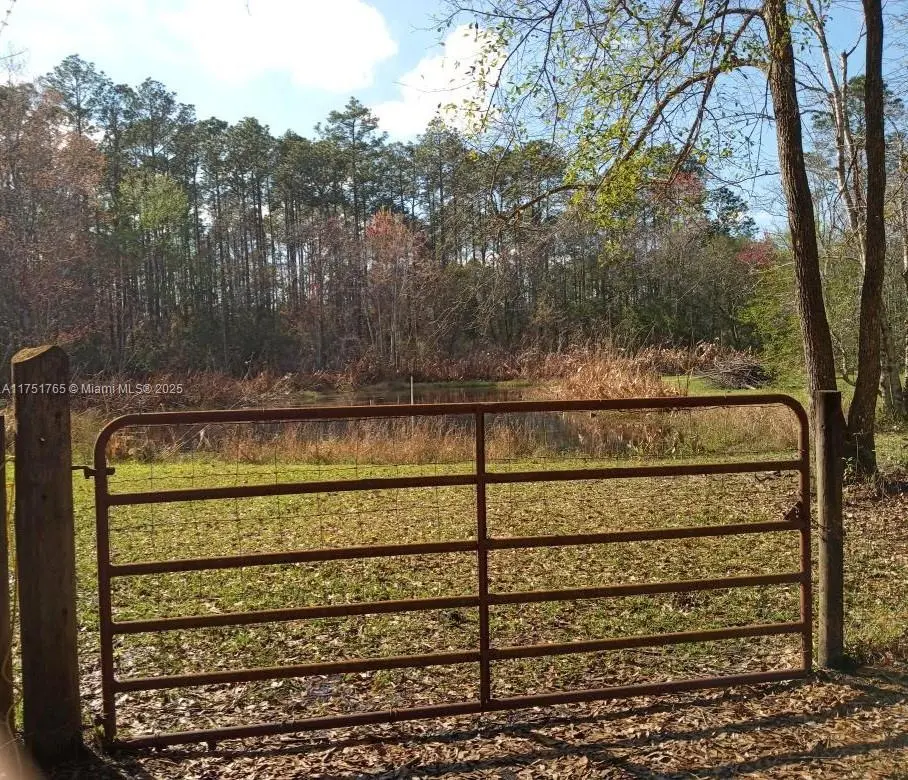 Photo of Listing #A11751765