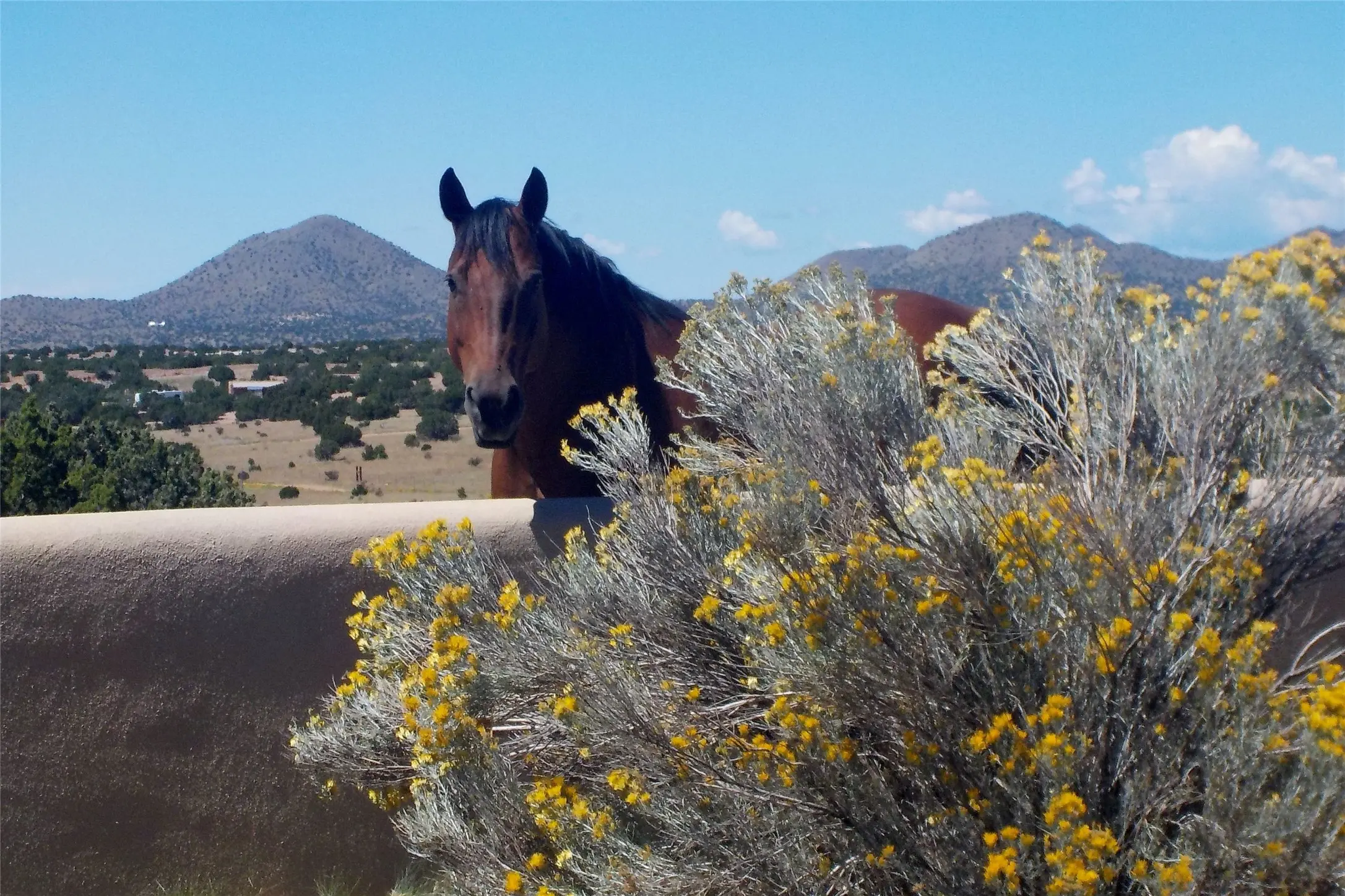 263 Camino Los Abuelos, Santa Fe