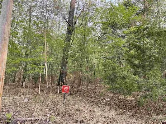 Lots 49/50 Mc 7002, Flippin