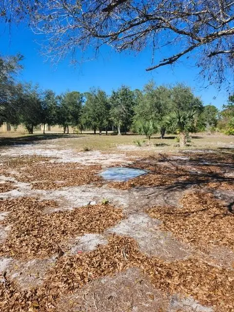 Photo of Listing #A11754339