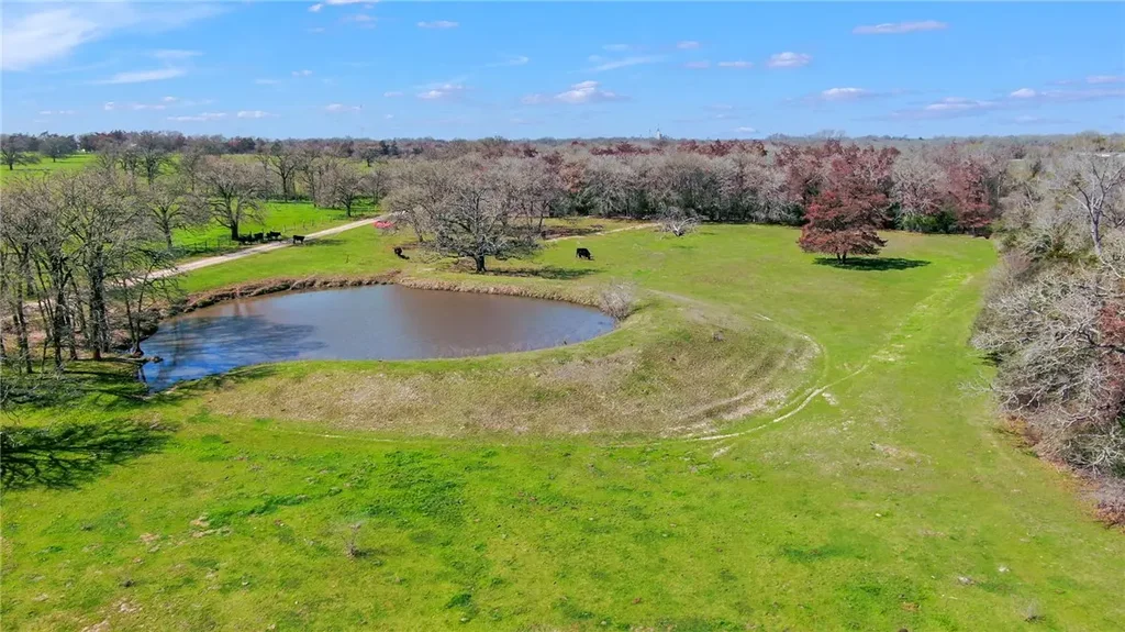 12548 Democrat Road, Bryan