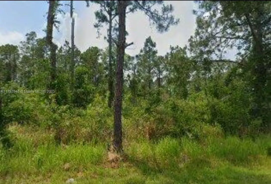 Photo of Listing #A11757846