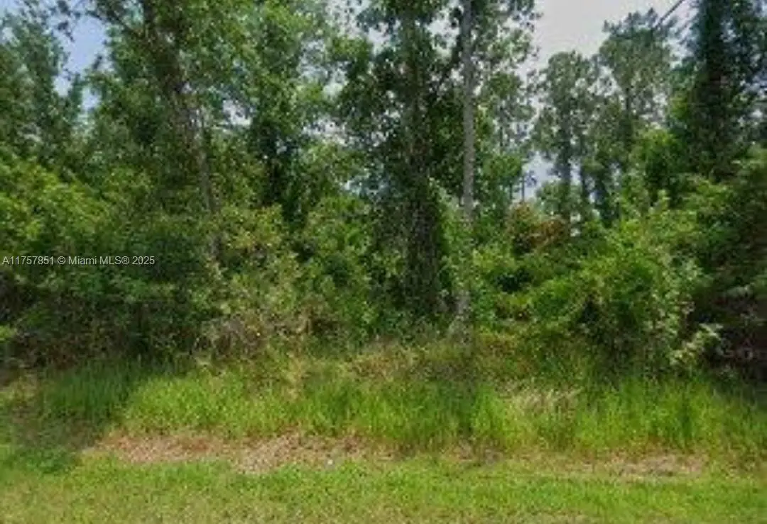 Photo of Listing #A11757851