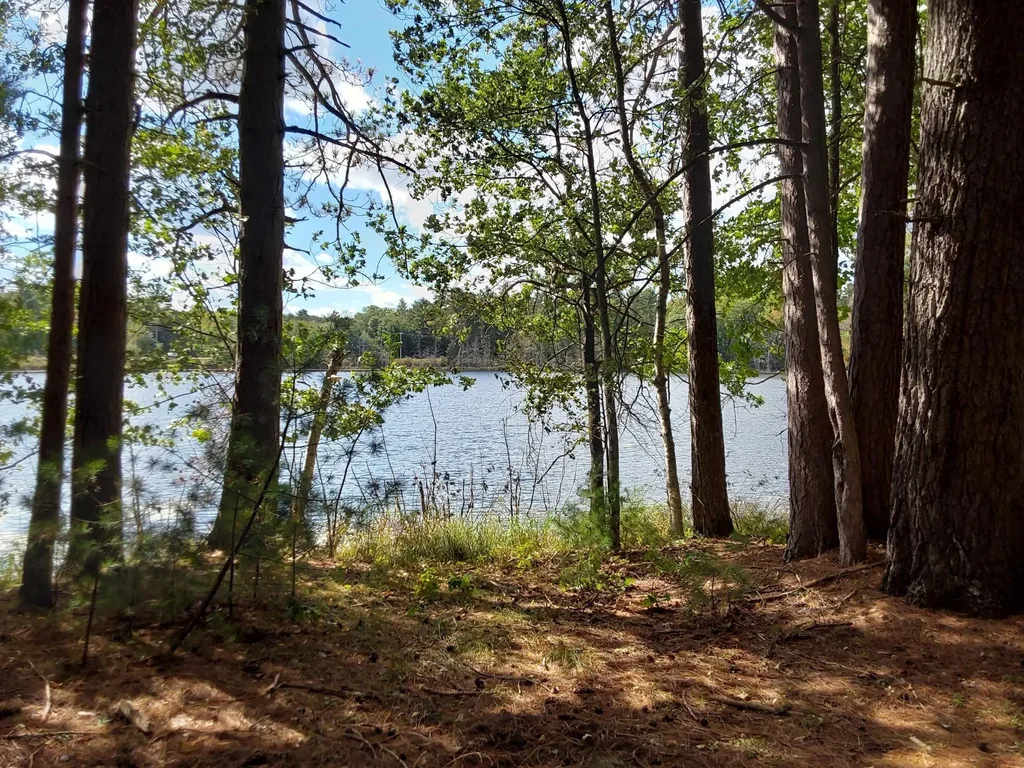 Lot 1 Curtis Lake Dr, Minocqua