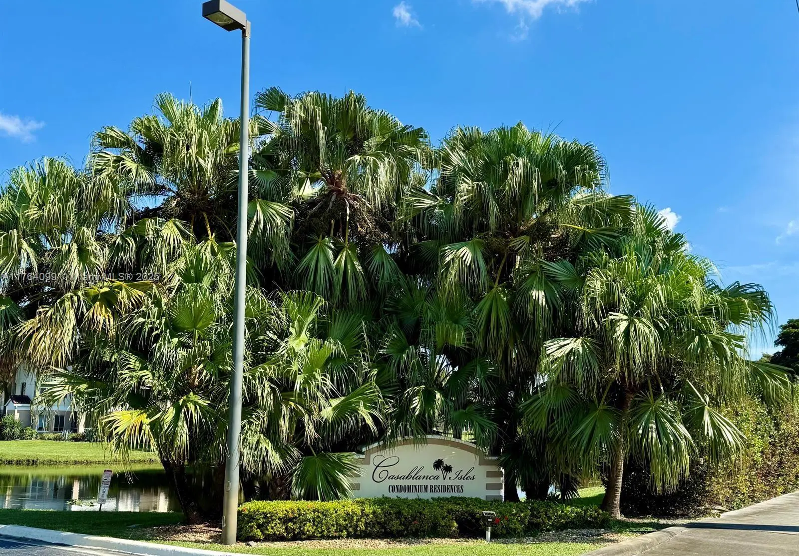 Photo of Listing #A11764099