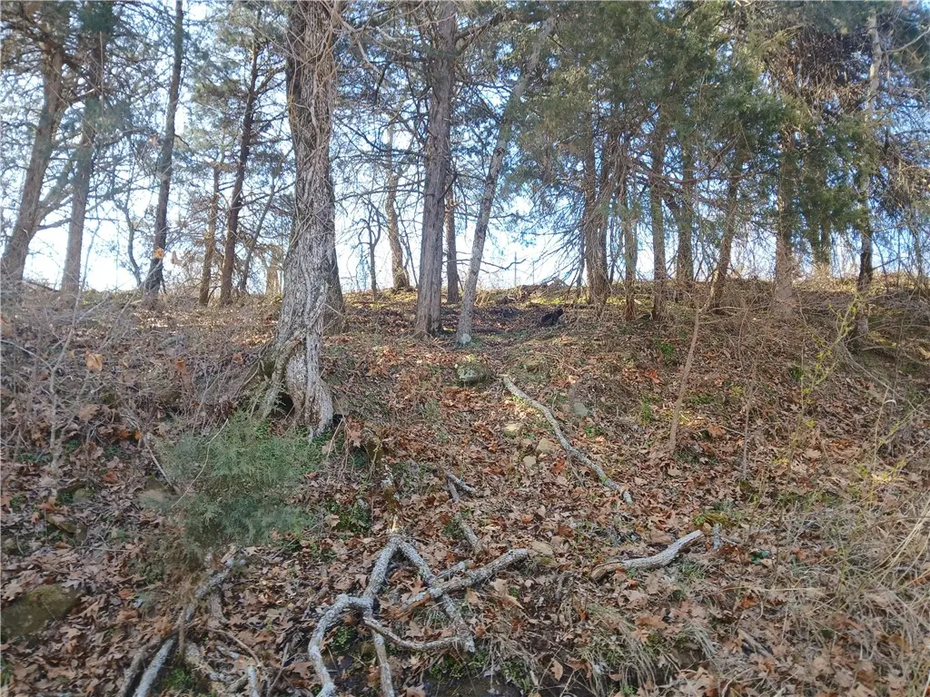 Tbd Madison 2149 Lot #4, Huntsville