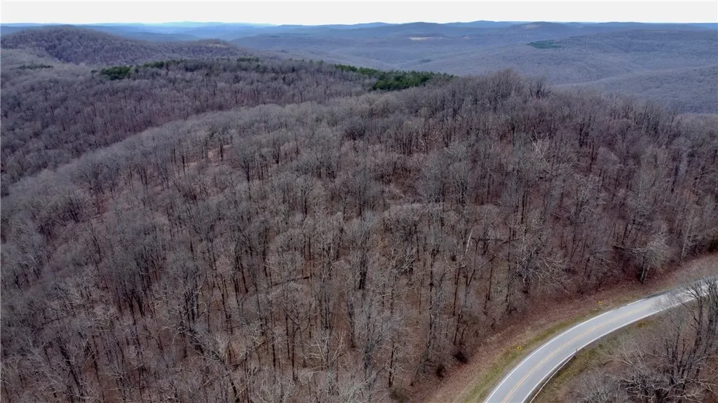 Tbd Ar-16, Pettigrew