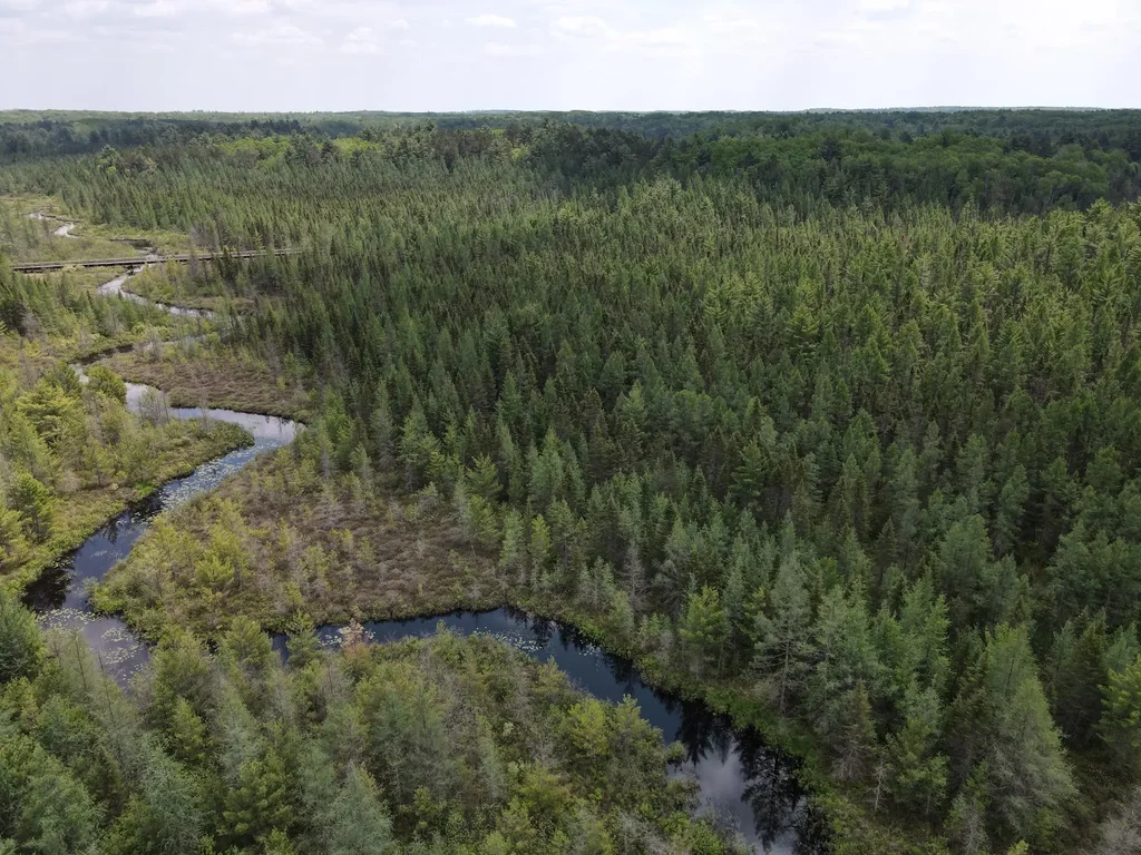 Off Hwy 51 # 438 Acres, Minocqua