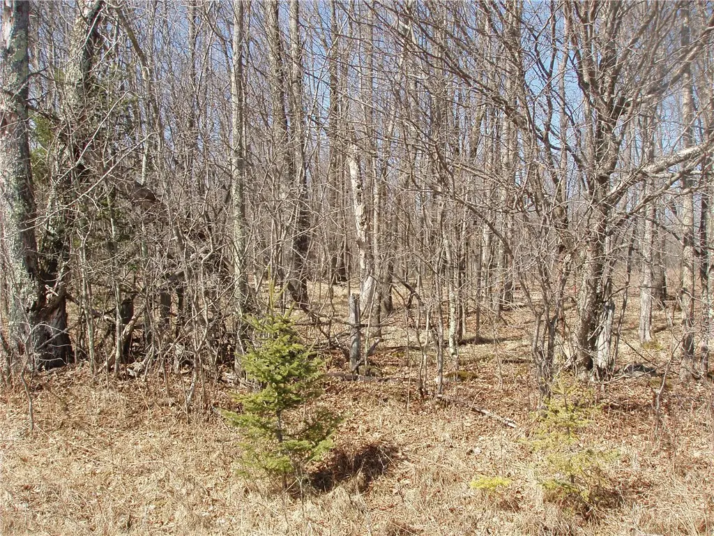 Lot 14 4th Add. Margaret Lane, Park Falls