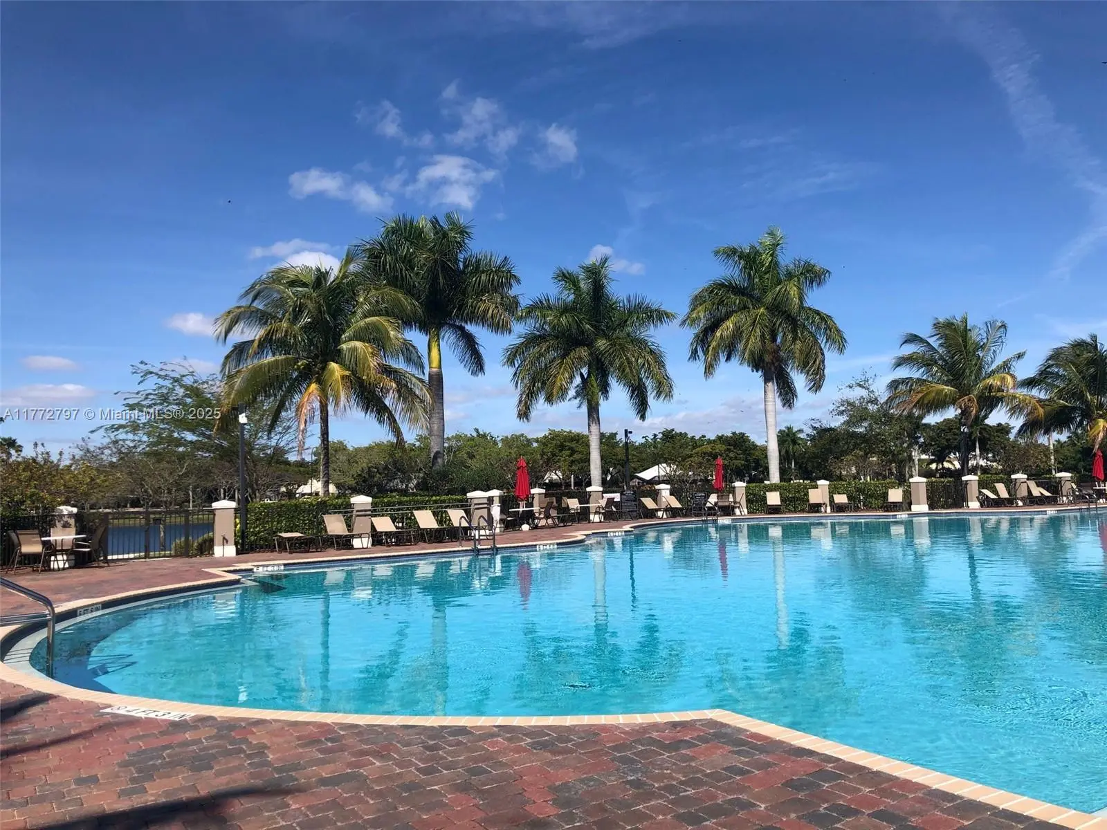 Photo of Listing #A11772797