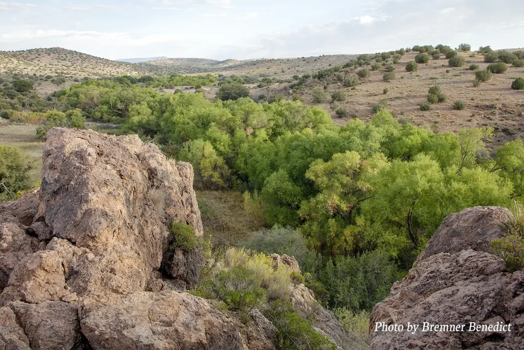 Pitchfork Ranch, Silver City