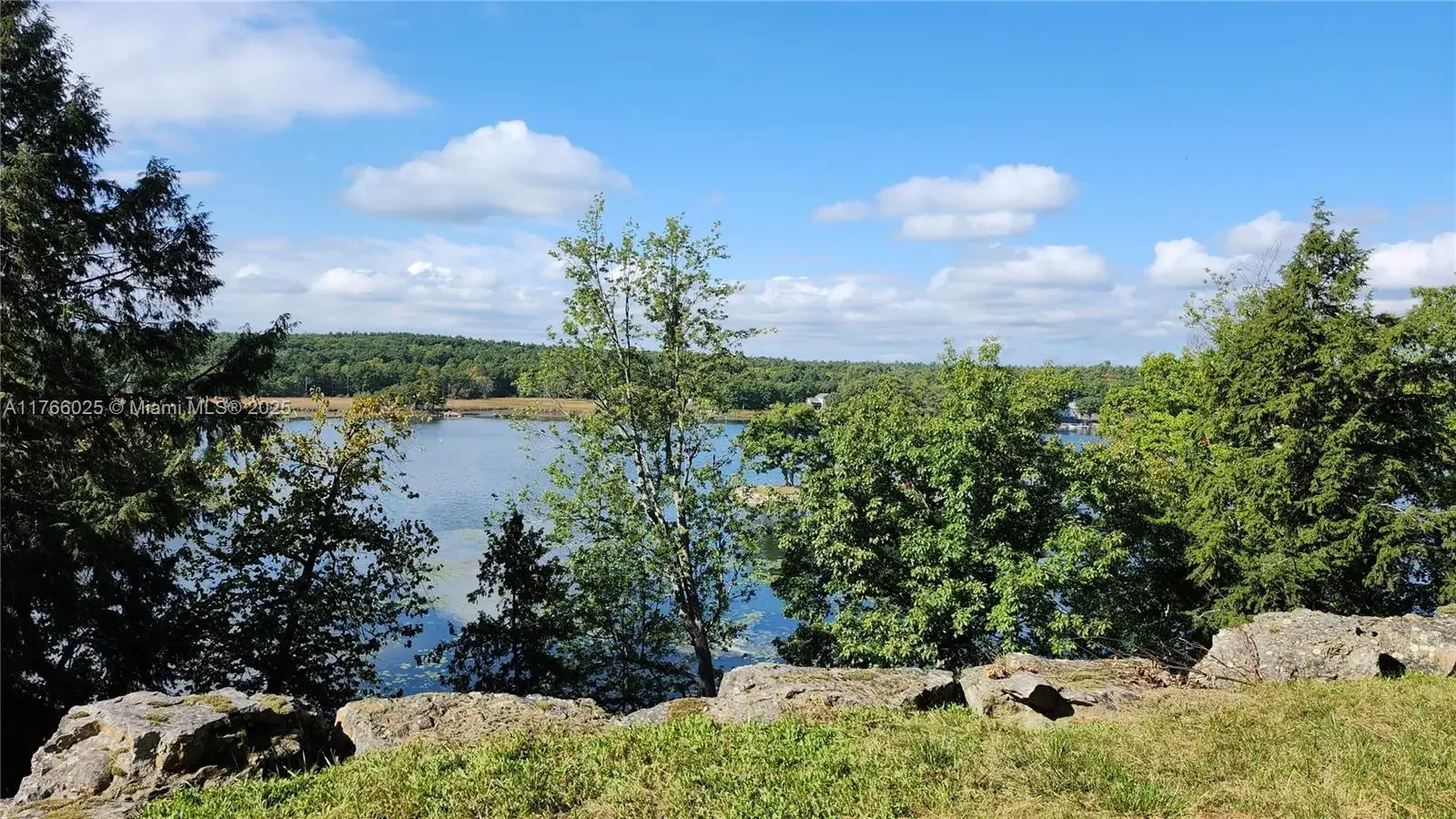 Photo of Listing #A11766025