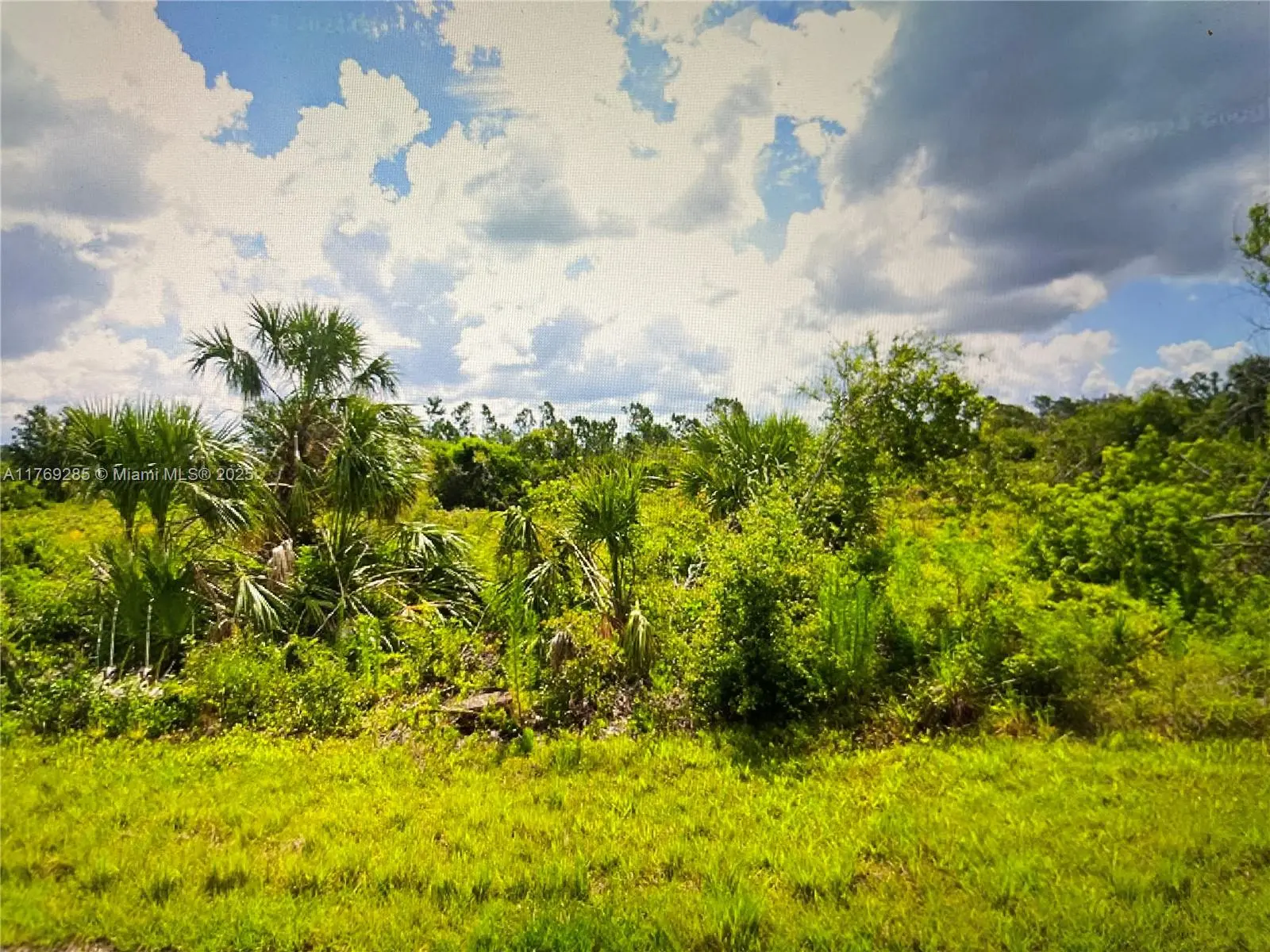 Photo of Listing #A11769285