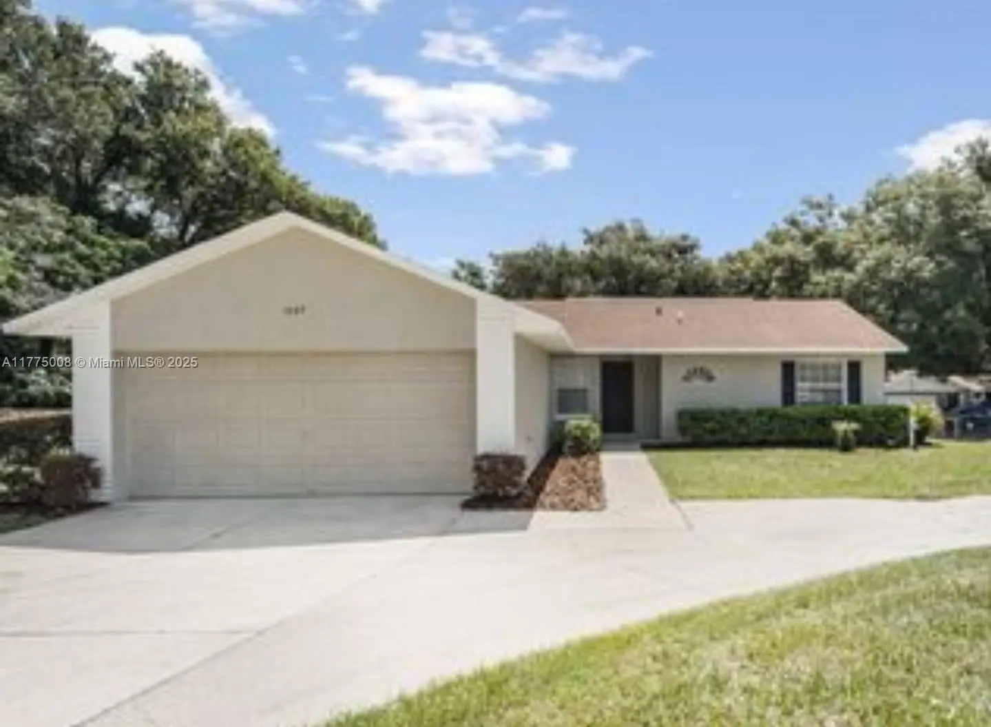 Photo of Listing #A11775008