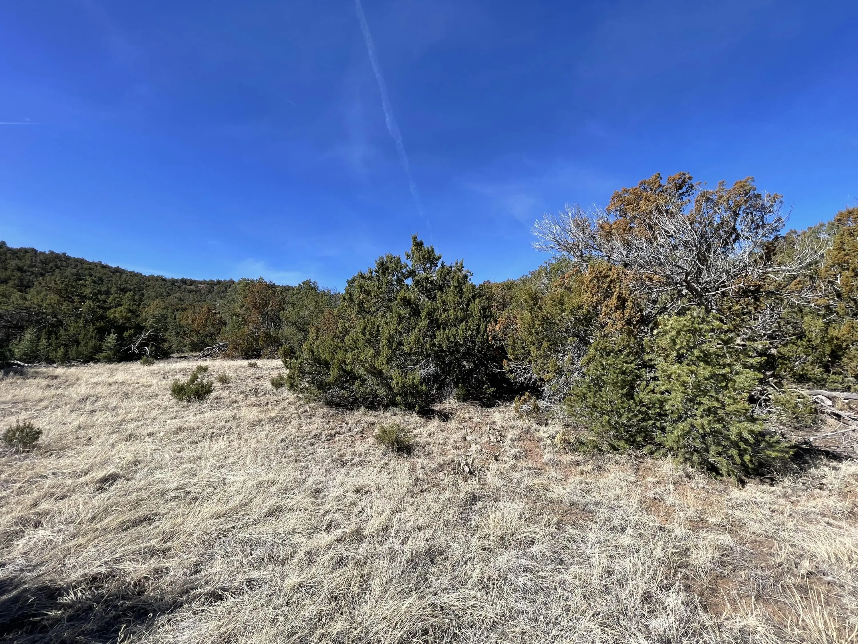 41 Canon Escondido Place, Sandia Park