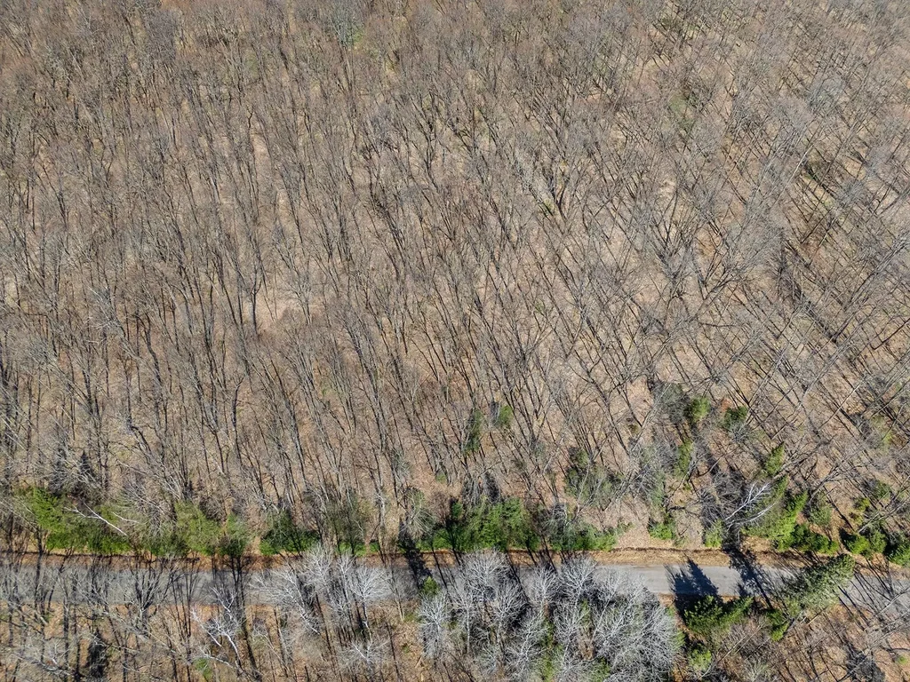 Lot11-13 Red Fox Rd, Presque Isle