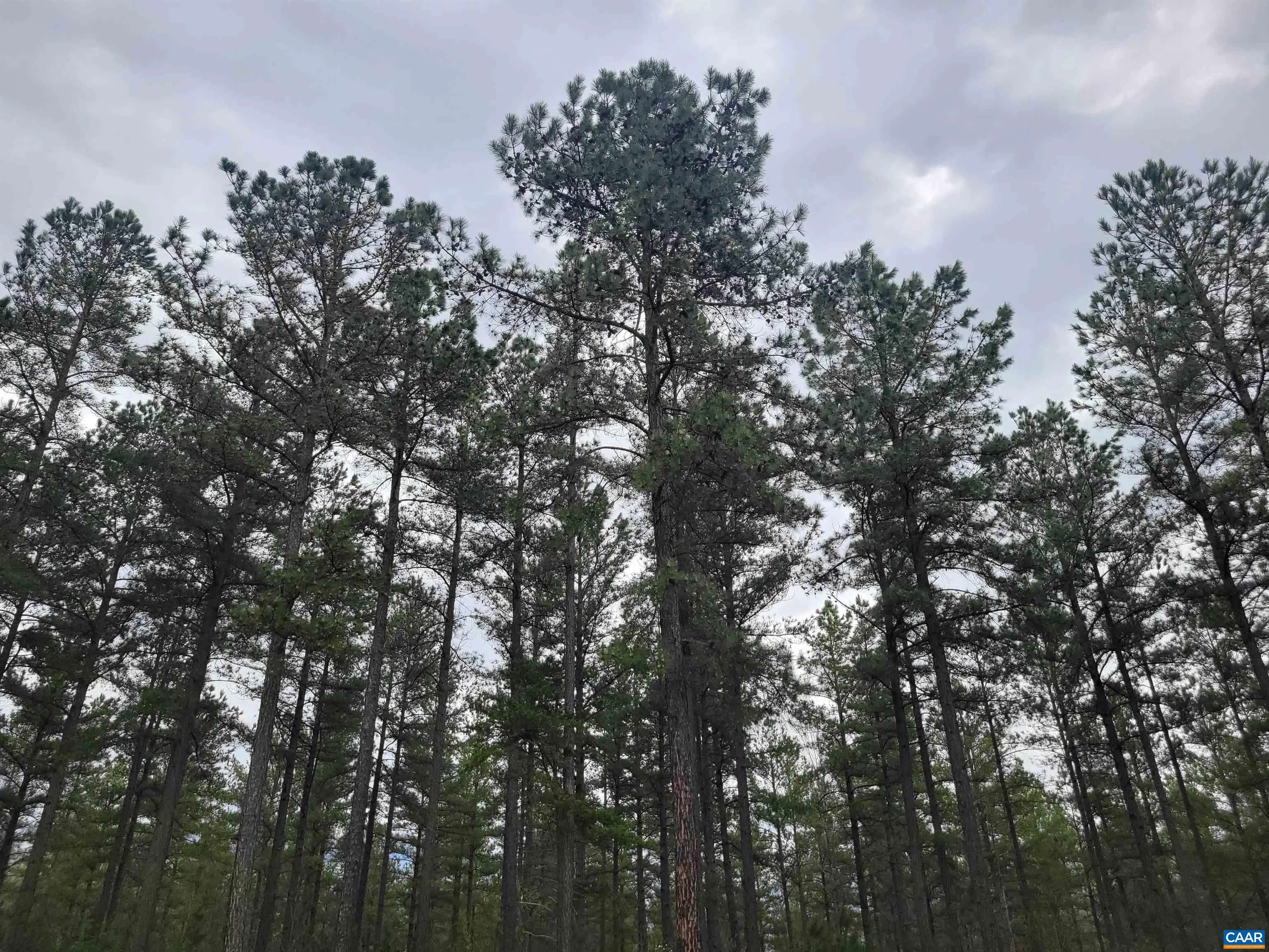 5 Piney Mountain Dr, Palmyra