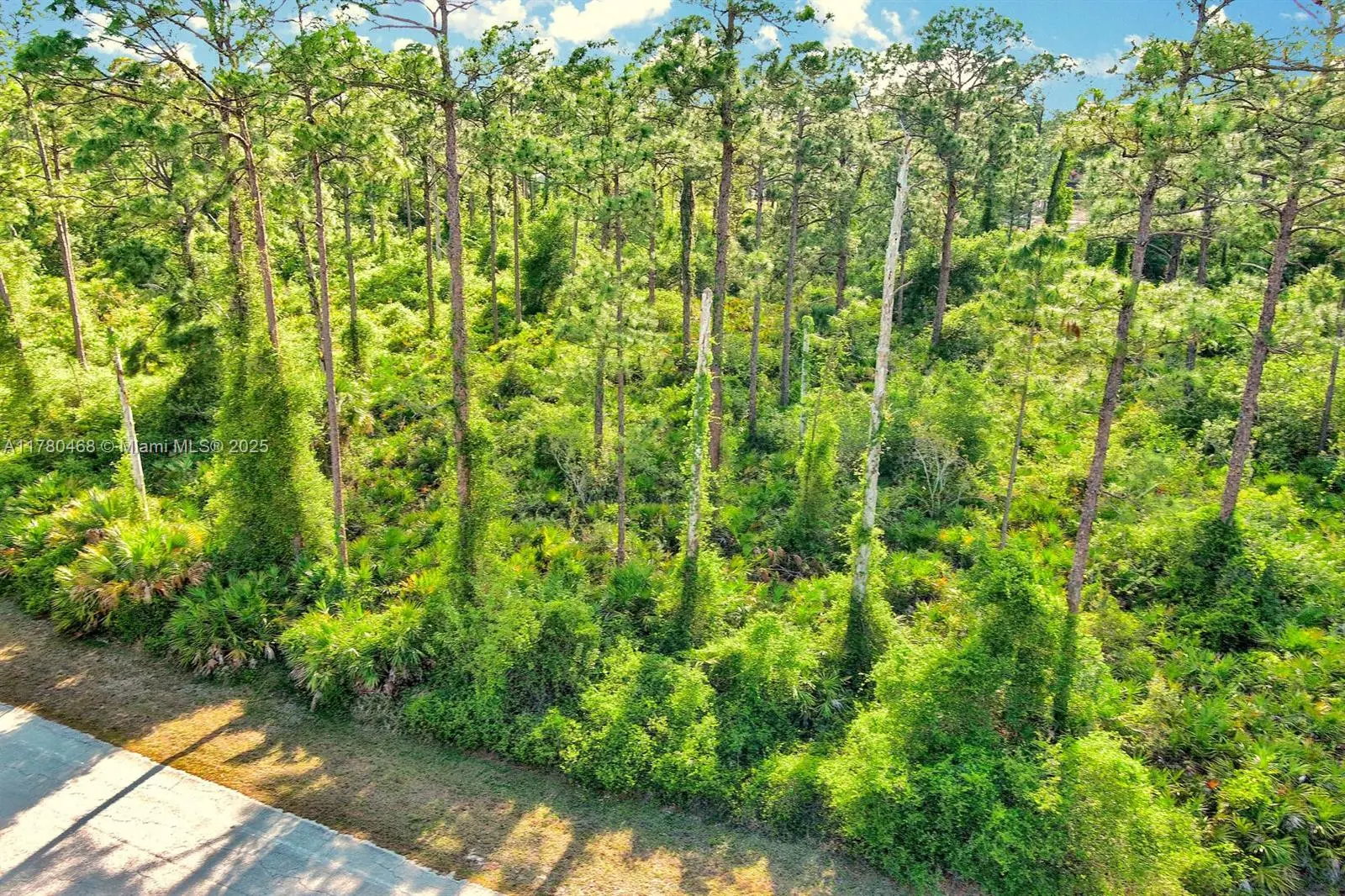 Photo of Listing #A11780468