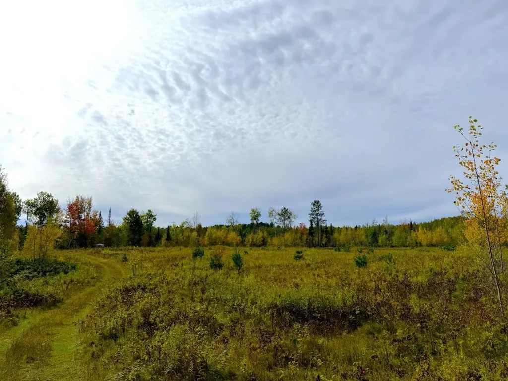 3005 Klick Dr, Mercer