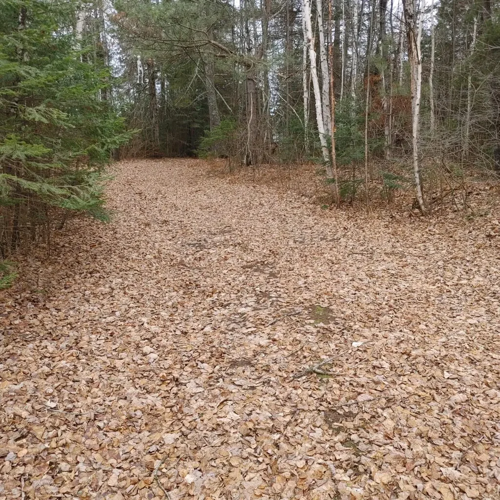 Lot 31 Shady Knoll Rd # Lot 31, Fifield