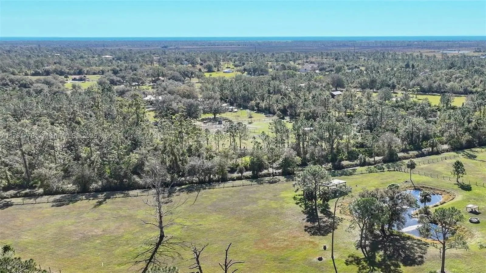 Photo of Listing #A11781770