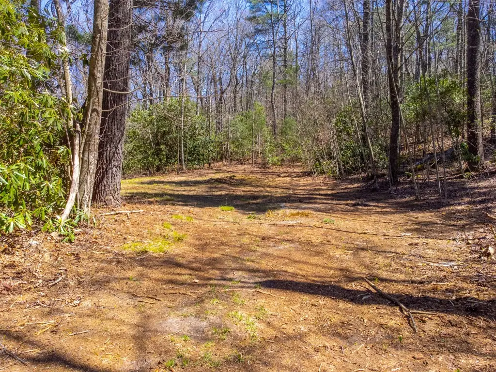 Lot 58 Wandering Ridge Drive, Cashiers