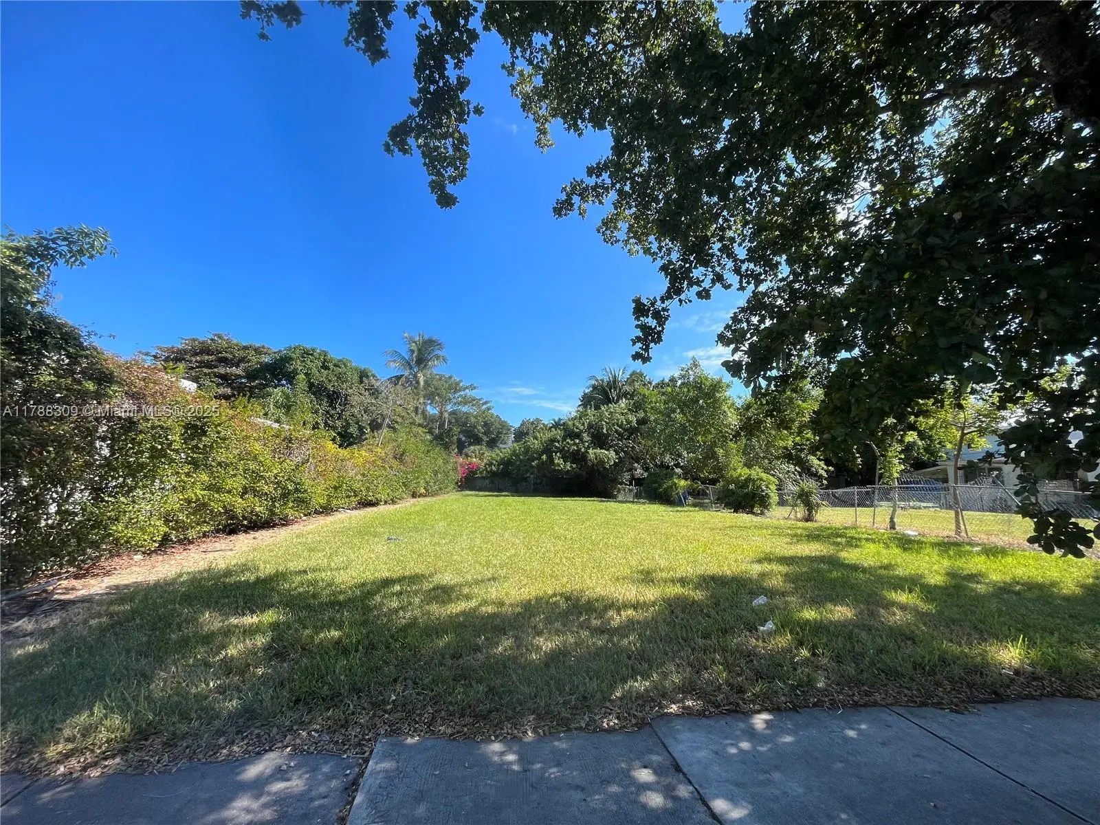 Photo of Listing #A11788309