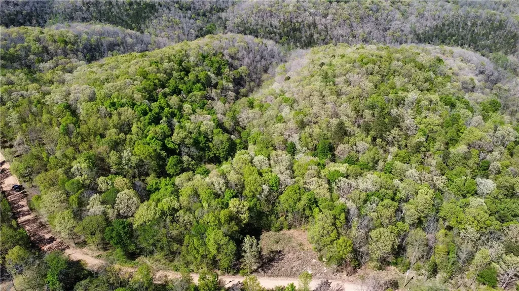 Holmes Road, Other AR