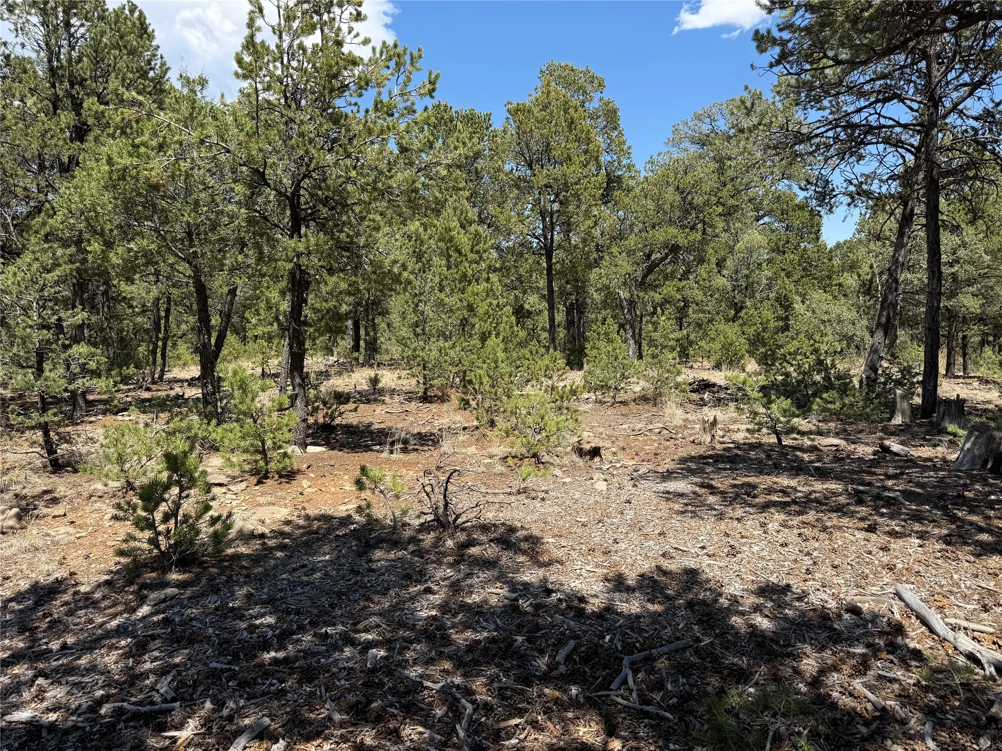 Lot 20 Dancing Hawk Drive, Pecos