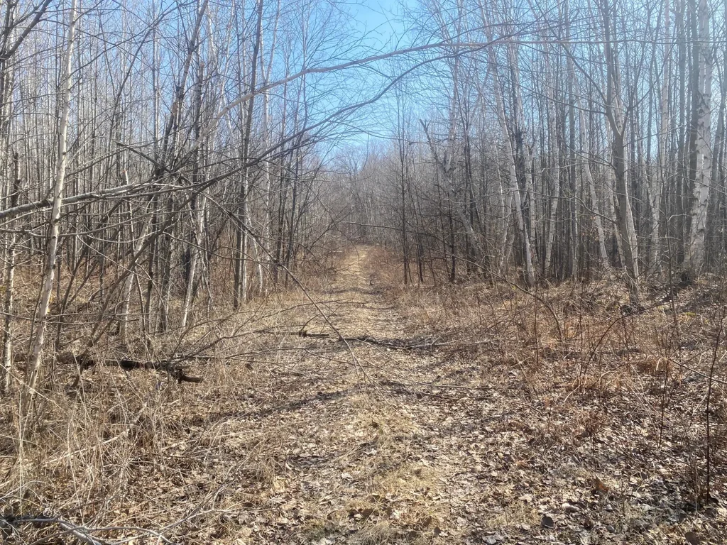 On Up River Rd, Phillips