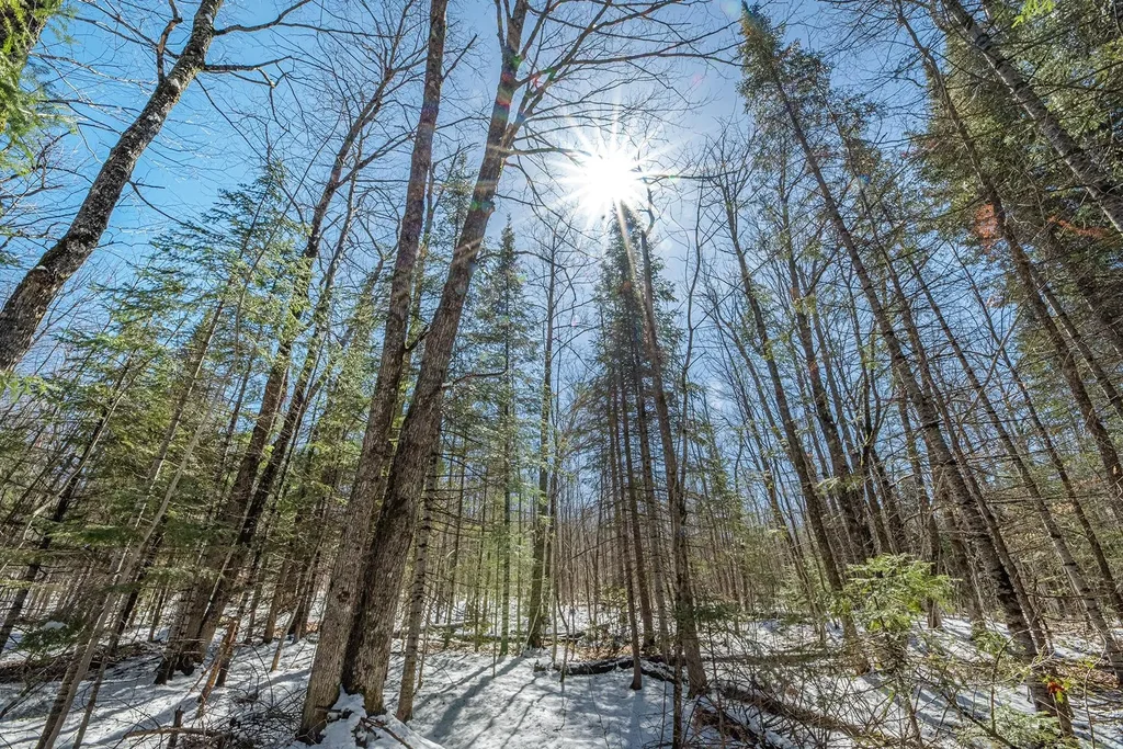 56.97 Ac Hwy 77, Upson