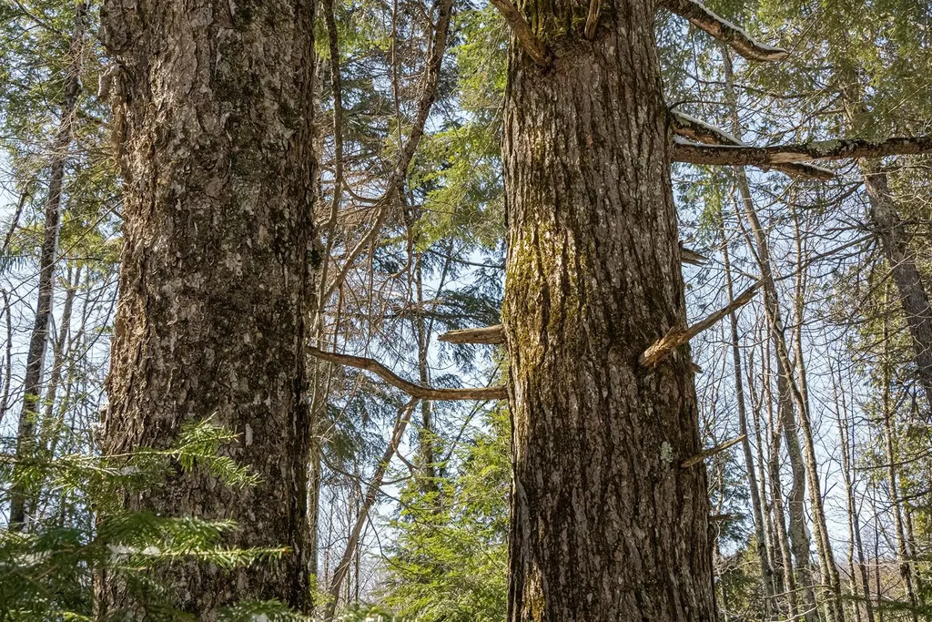 160-acre Pleasant Lake Rd, Hurley