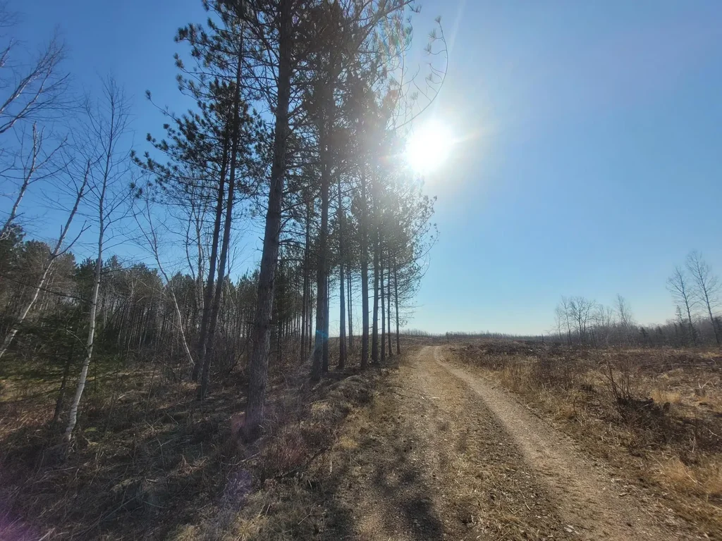 Near Knowles Rd, Loretta