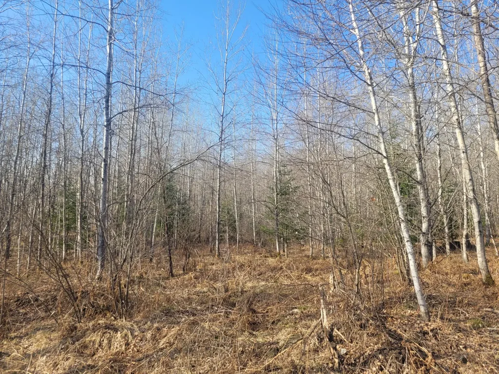 Near Knowles Rd, Loretta