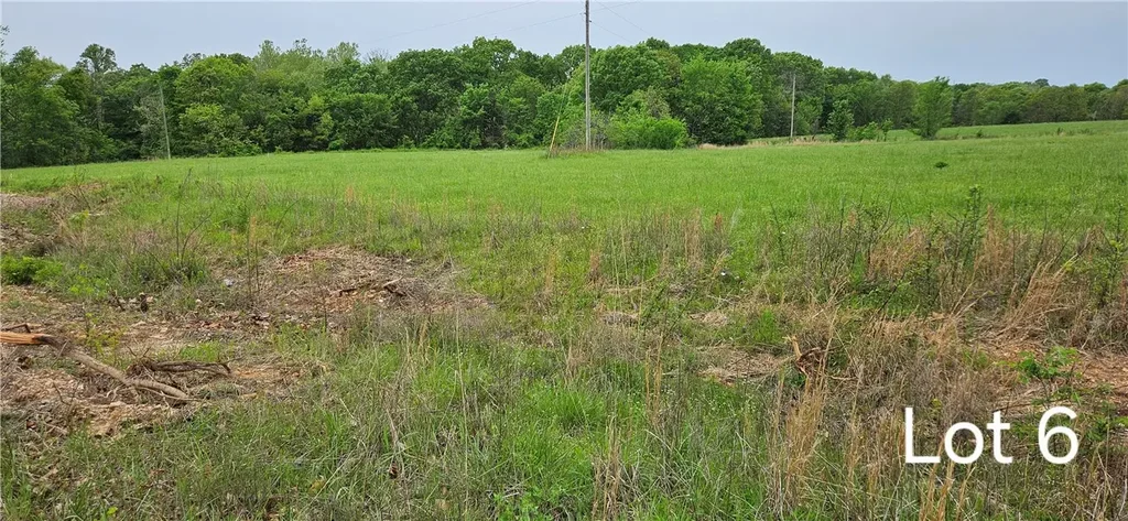 Lot 6 Oakridge Court, Siloam Springs