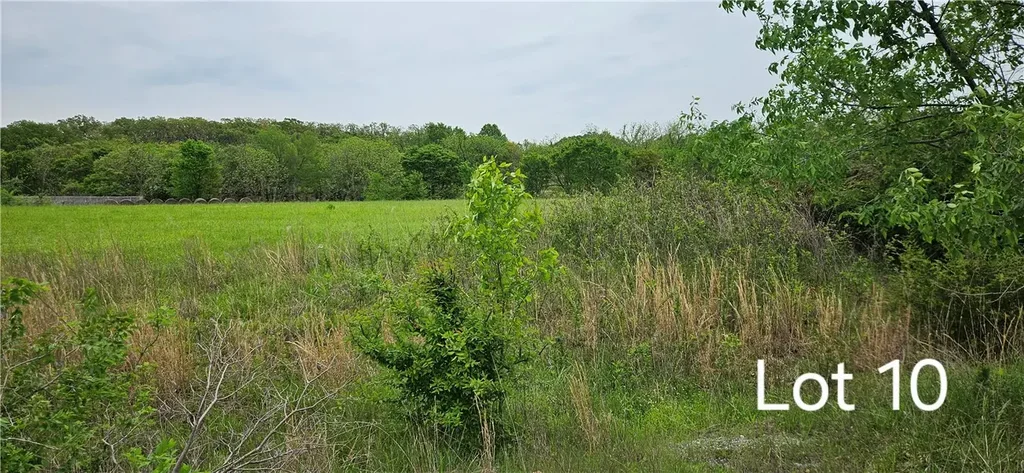 Lot 10 Oakridge Court, Siloam Springs