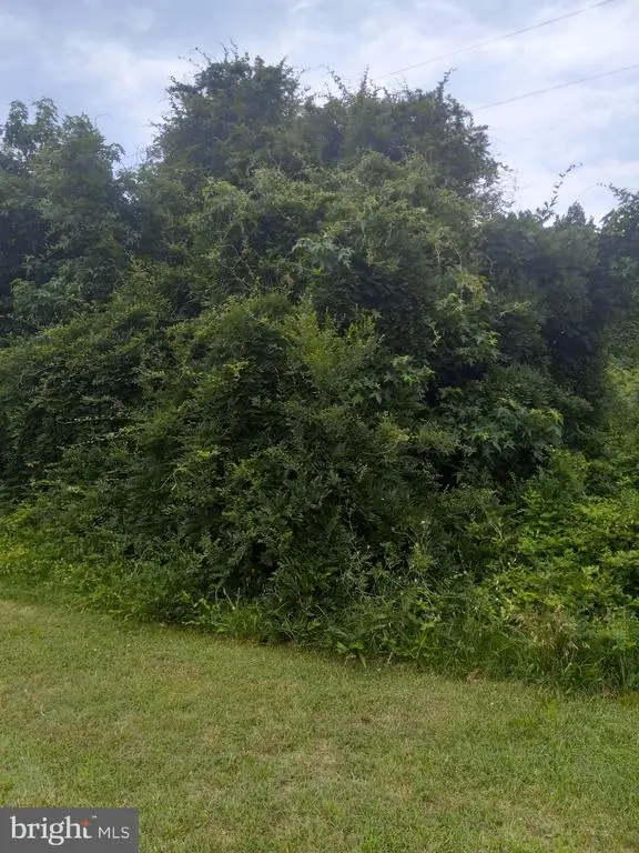 Lewis Estates Lane - Lot 5, Spotsylvania