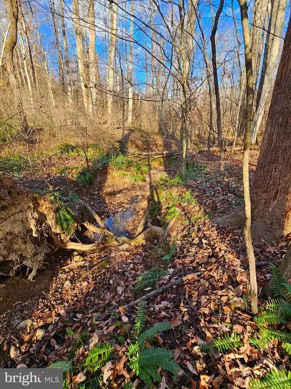 Waugh Rd, Unionville