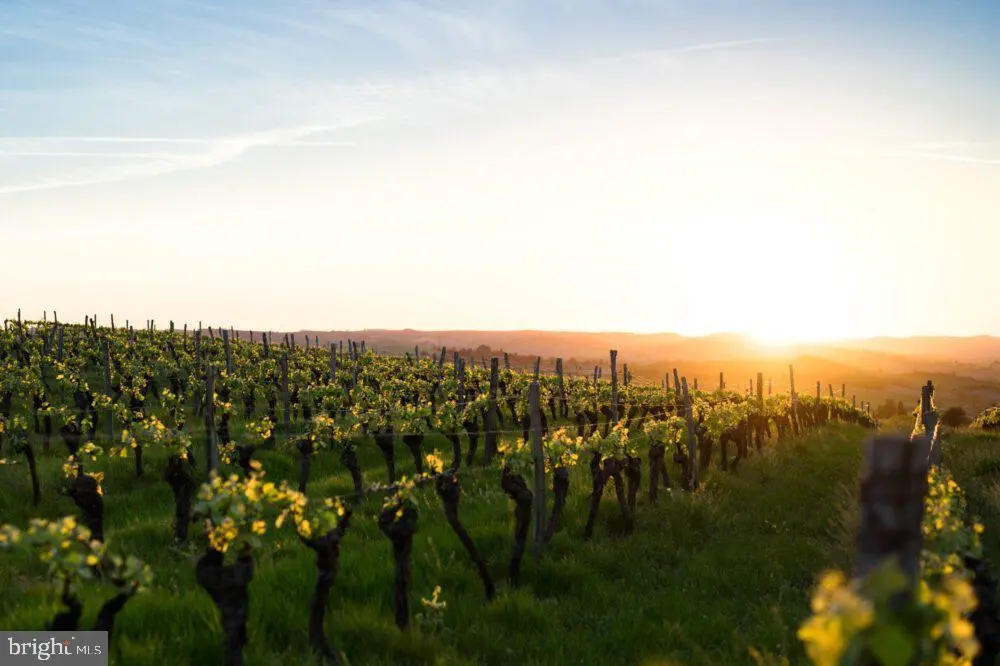 4500 Winery Ln, Barboursville