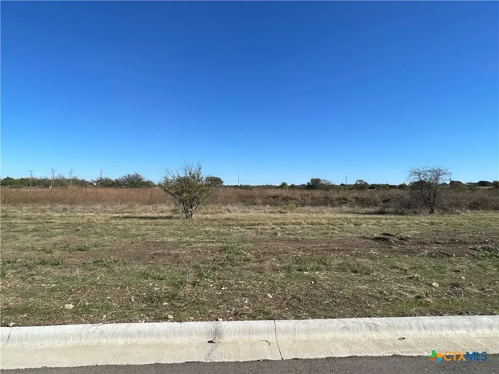 2020 Botts Drive, Salado