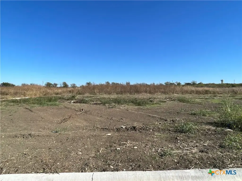 2056 Botts Drive, Salado