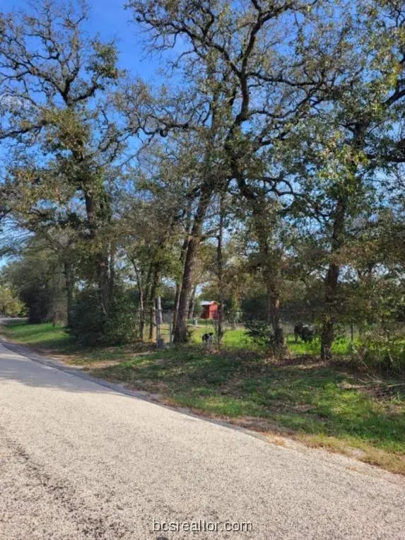 1011 Sandy Cove Drive, Bryan